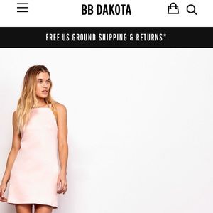 Jack by BB Dakota Dusty Rose Faux Suede Dress